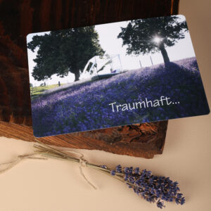 Gutschein Lavendelfeld mit Nachtessen